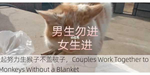 男女一起努力生猴子不盖被子，Couples Work Together to Raise Monkeys Without a Blanket