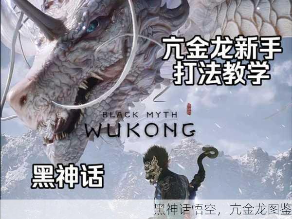 黑神话悟空，亢金龙图鉴