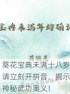 葵花宝典未满十八岁请立刻开拼音，揭示神秘武功奥义！
