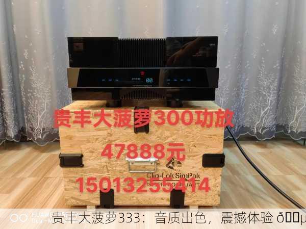 贵丰大菠萝333：音质出色，震撼体验 🎵