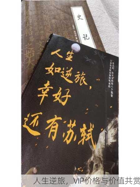 人生逆旅，VIP价格与价值共赏