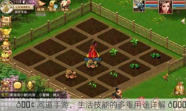 📢 问道手游，生活技能的多重用途详解 📚