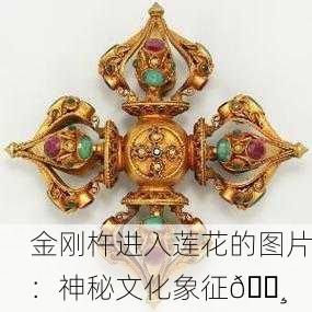 金刚杵进入莲花的图片：神秘文化象征🌸