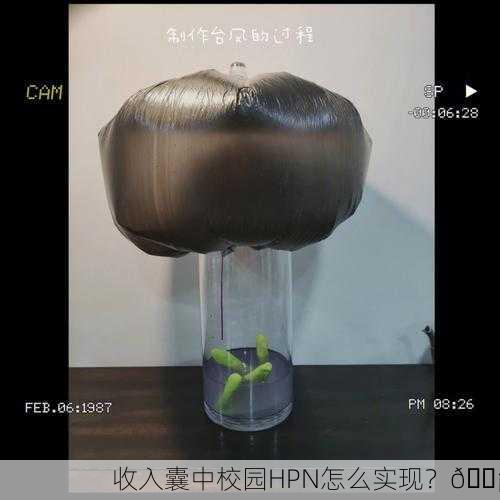 收入囊中校园HPN怎么实现？💡