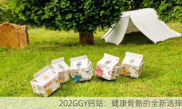 202GGY钙站：健康骨骼的全新选择