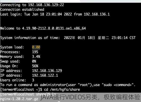 JAVA强行VIDEOS另类，极致编程体验