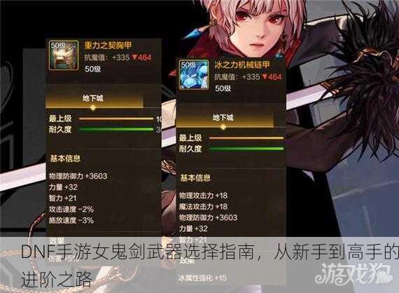 DNF手游女鬼剑武器选择指南，从新手到高手的进阶之路
