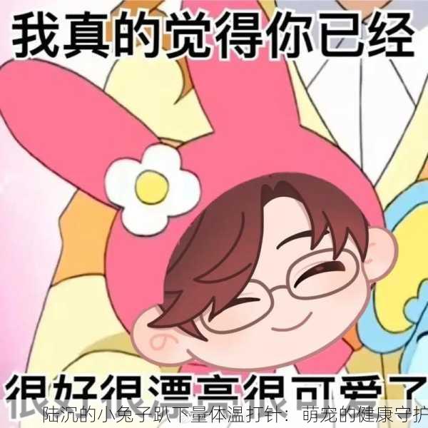 陆沉的小兔子趴下量体温打针：萌宠的健康守护