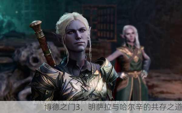 博德之门3，明萨拉与哈尔辛的共存之道