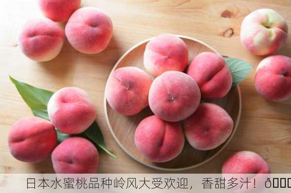 日本水蜜桃品种岭风大受欢迎，香甜多汁！🍑