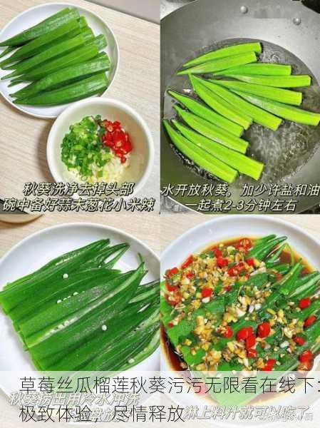 草莓丝瓜榴莲秋葵污污无限看在线下：极致体验，尽情释放
