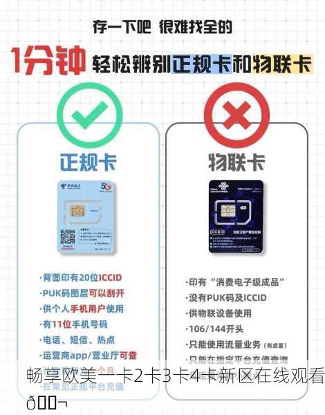 畅享欧美一卡2卡3卡4卡新区在线观看🎬
