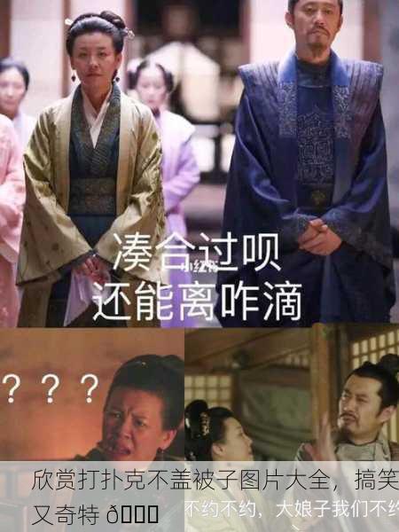 欣赏打扑克不盖被子图片大全，搞笑又奇特 😂