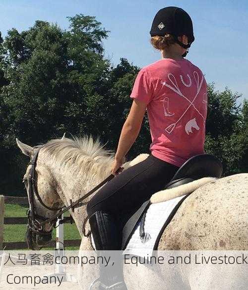 人马畜禽company，Equine and Livestock Company