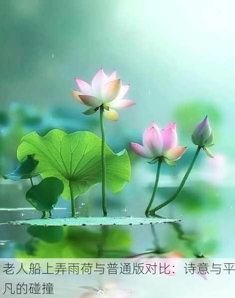 老人船上弄雨荷与普通版对比：诗意与平凡的碰撞