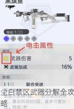 尘白禁区武器分解全攻略