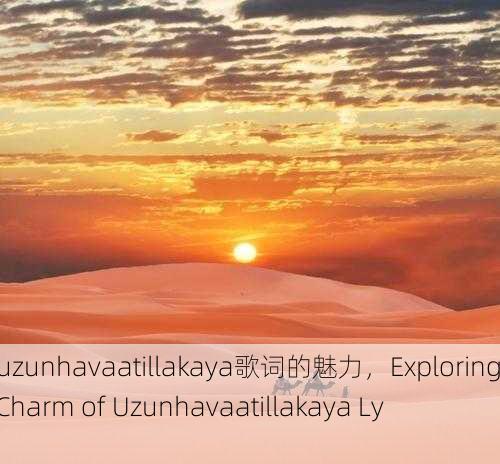 探寻uzunhavaatillakaya歌词的魅力，Exploring the Charm of Uzunhavaatillakaya Lyrics