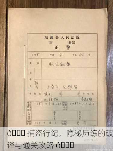📜 捕盗行纪，隐秘历练的破译与通关攻略 📜