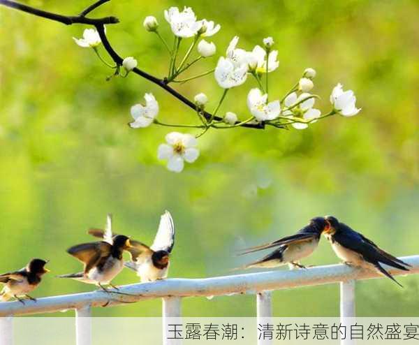 玉露春潮：清新诗意的自然盛宴
