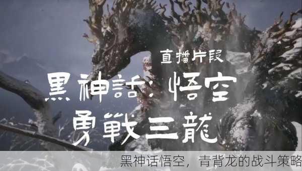 黑神话悟空，青背龙的战斗策略