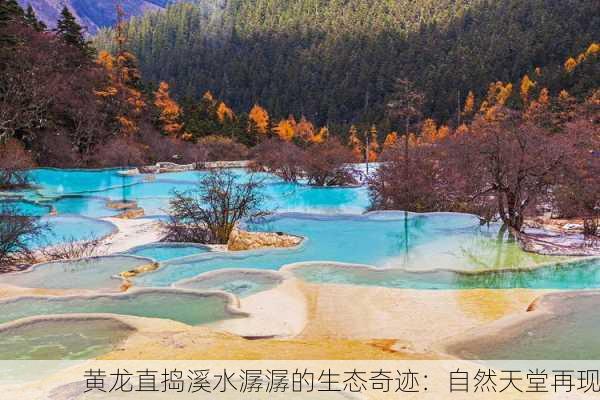 黄龙直捣溪水潺潺的生态奇迹：自然天堂再现
