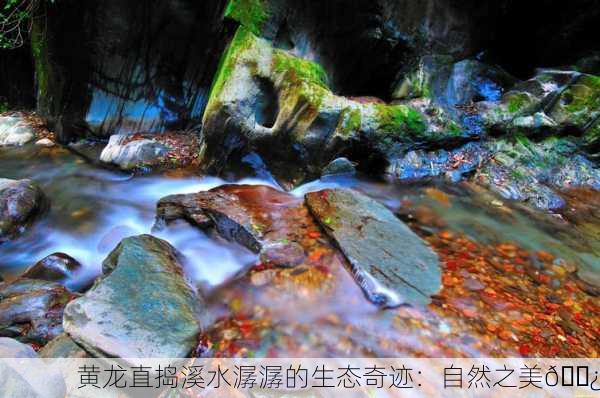 黄龙直捣溪水潺潺的生态奇迹：自然之美🌿