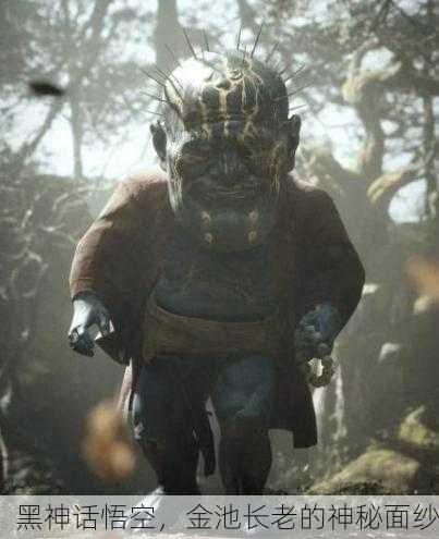 黑神话悟空，金池长老的神秘面纱