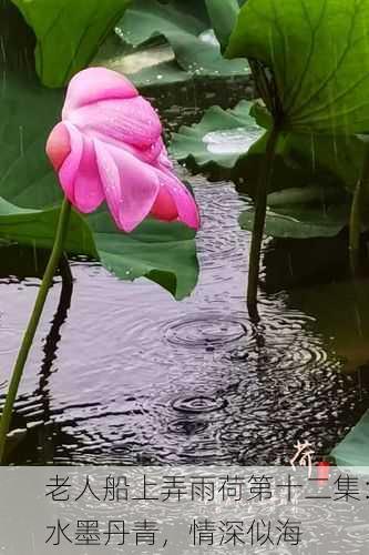 老人船上弄雨荷第十二集：水墨丹青，情深似海