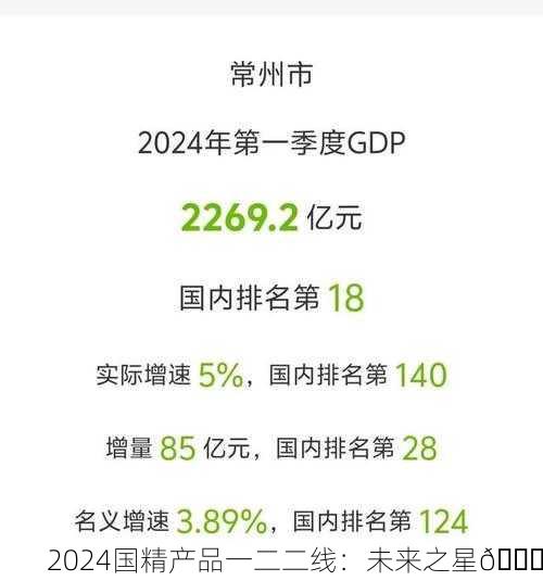 2024国精产品一二二线：未来之星🌟