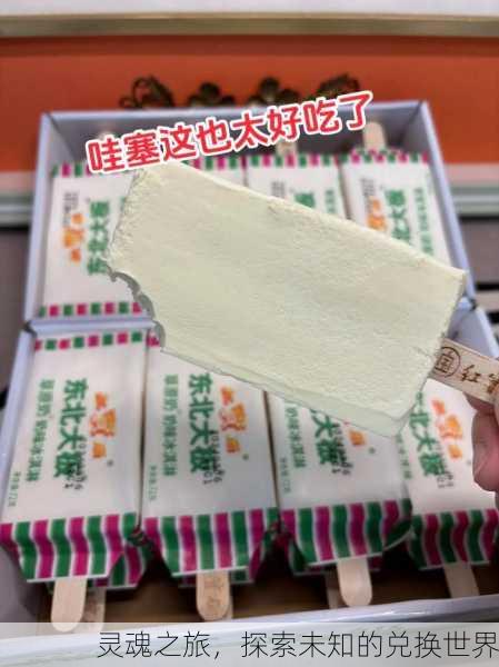灵魂之旅，探索未知的兑换世界