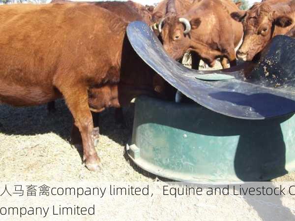 人马畜禽company limited，Equine and Livestock Company Limited