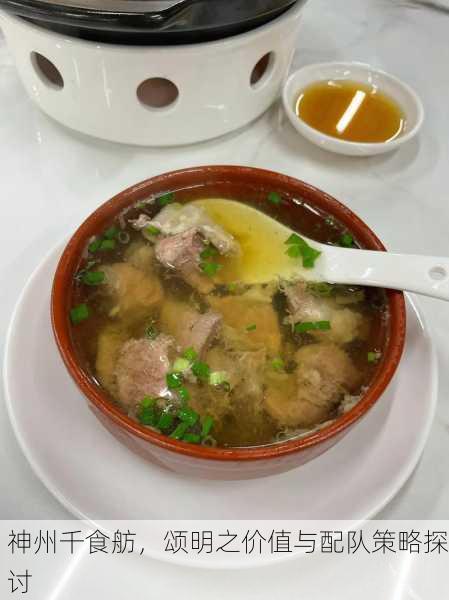 神州千食舫，颂明之价值与配队策略探讨