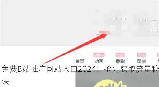免费B站推广网站入口2024：抢先获取流量秘诀
