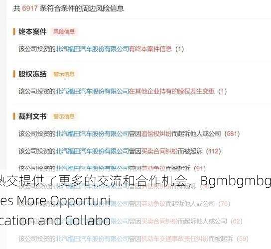 bgmbgmbgm成熟交提供了更多的交流和合作机会，Bgmbgmbgm Maturity Provides More Opportunities for Communication and Collaboration