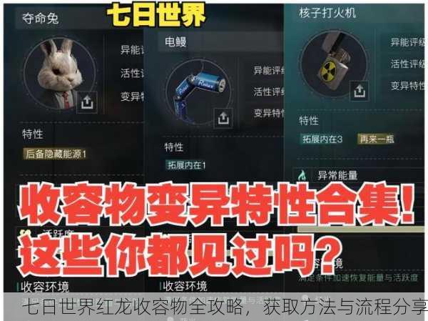 七日世界红龙收容物全攻略，获取方法与流程分享