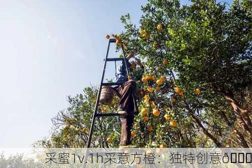 采蜜1v.1h采意方橙：独特创意🍊