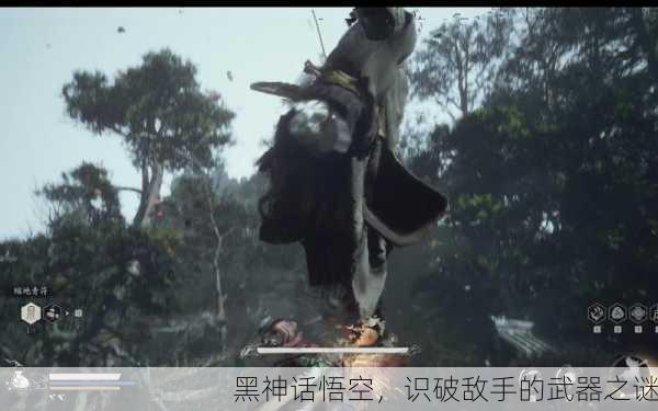 黑神话悟空，识破敌手的武器之谜