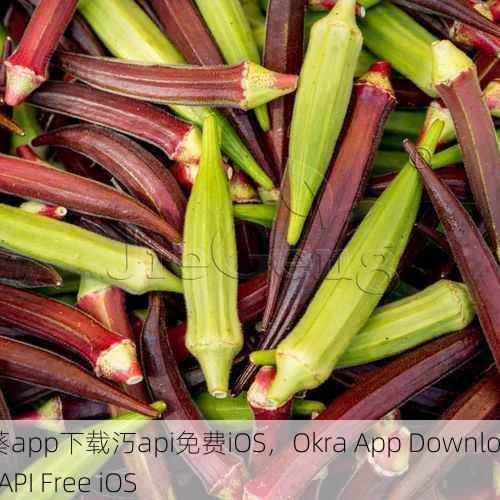 秋葵app下载汅api免费iOS，Okra App Download API Free iOS