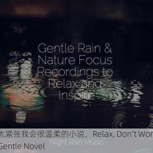 放轻松别太紧张我会很温柔的小说，Relax, Don't Worry, I'll Be Gentle Novel