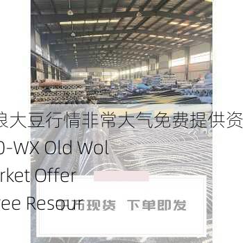 成熟50-wx老狼大豆行情非常大气免费提供资源，Mature 50-WX Old Wolf Soybean Market Offers Abundant Free Resources