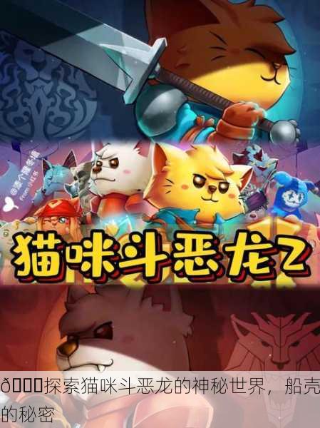 📝探索猫咪斗恶龙的神秘世界，船壳的秘密