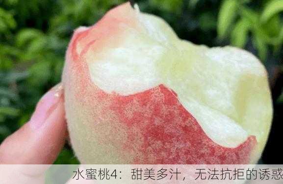 水蜜桃4：甜美多汁，无法抗拒的诱惑