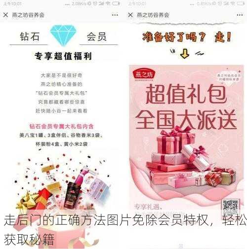 走后门的正确方法图片免除会员特权，轻松获取秘籍