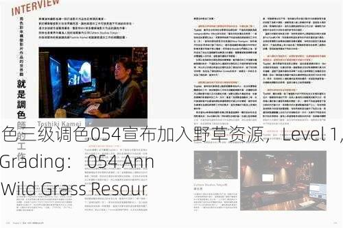 一级调色二级调色三级调色054宣布加入野草资源，Level 1, 2, and 3 Color Grading： 054 Announces Joining Wild Grass Resources
