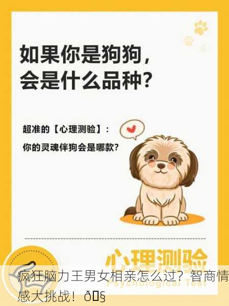 疯狂脑力王男女相亲怎么过？智商情感大挑战！🧠