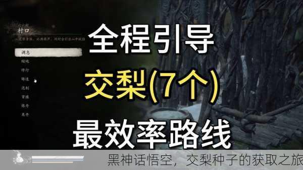 黑神话悟空，交梨种子的获取之旅