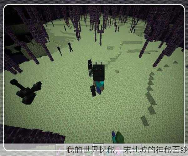 我的世界探秘，末地城的神秘面纱
