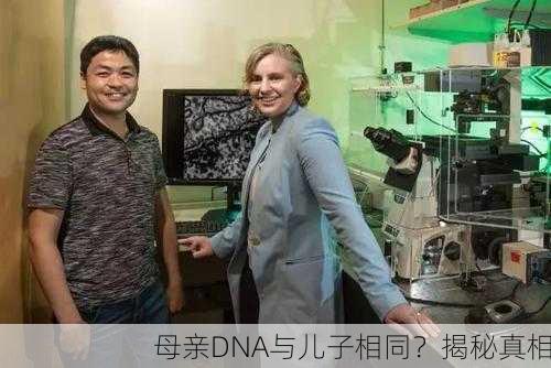母亲DNA与儿子相同？揭秘真相