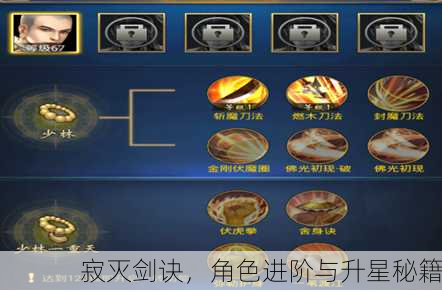 寂灭剑诀，角色进阶与升星秘籍