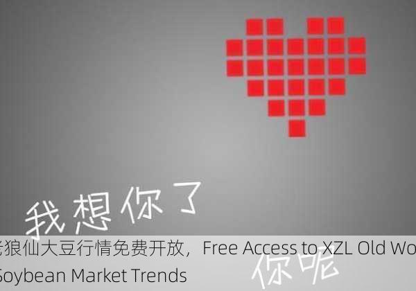 xzl老狼仙大豆行情免费开放，Free Access to XZL Old Wolf's Soybean Market Trends